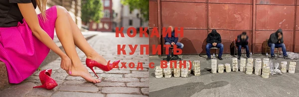 прущие грибы Абдулино