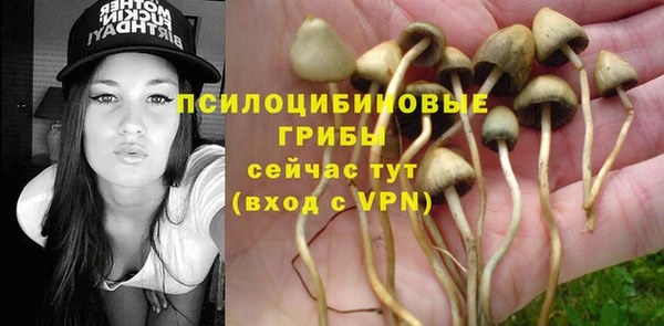дживик Абинск