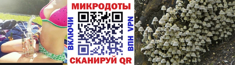 где найти наркотики  Холм  Галлюциногенные грибы прущие грибы 
